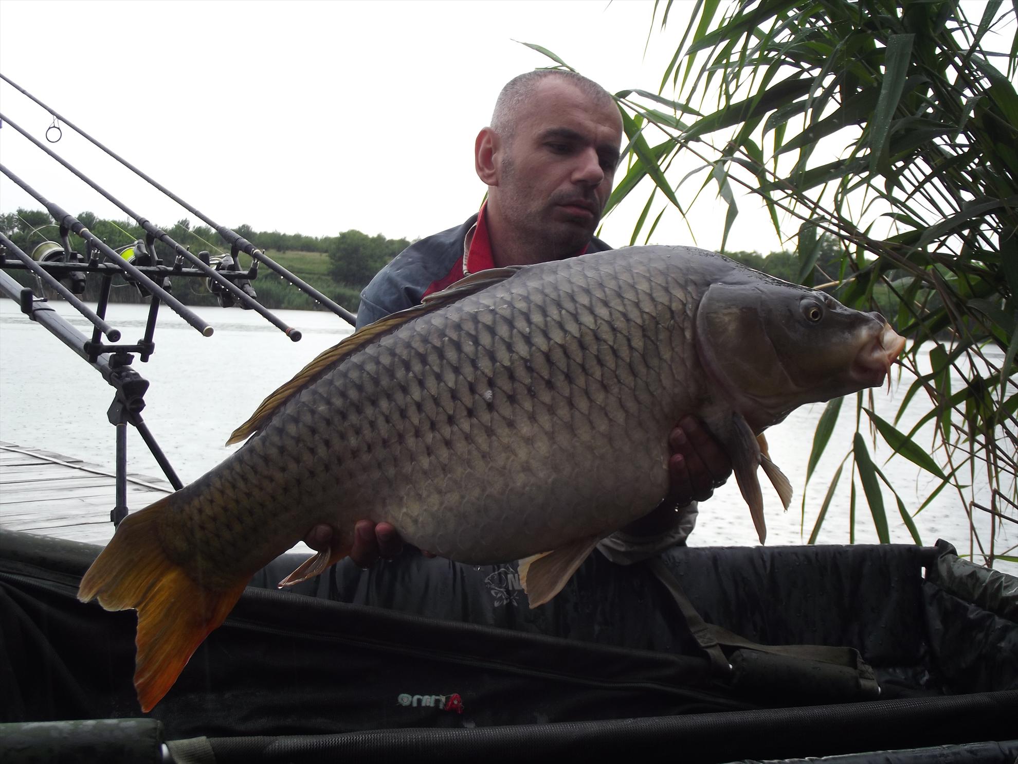 Tancabesti 7 - 9 iun. - dscf3705.JPG